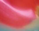 abstract_flower_3.jpg