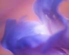 blue_and_pink_flower.jpg