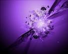 purple.jpg