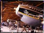 p40c5.jpg