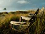 Coast_dunes.jpg