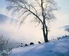 beautiful winter landscape_08.jpg