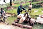 ephraim-woodbike,Uganda.jpg