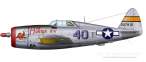 P-47D-Hun-Hunter-XIV.jpg