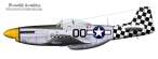 Mustang-00-sah.jpg