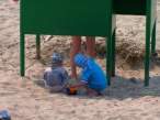 Peek A Boo.jpg