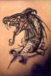 tat16.jpg