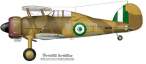Gladijator-Egypt-8028.jpg