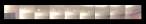 Stir1 fl1 01-11dsm.jpg