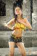 Nisha Kothari 70.jpg