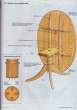 Pages from WorkShops - Fine Woodworking 103_Page_1_Image_0001.jpg