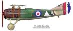 SPAD-13-RFC-6732.jpg