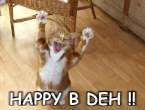 kittyhappybday.jpg