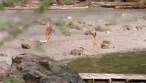 06587_Capture_5_123_243lo.jpg