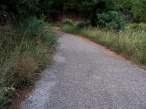 DSC00460.JPG