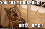 funny-pictures-cat-is-excited-about-ribbons.jpg