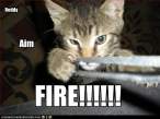 funny-pictures-cat-fires-a-slingshot.jpg