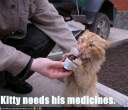 funny-pictures-cat-needs-his-medicine2.jpg