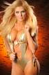 torrie_wilson_new_pics_images_4_big.jpg