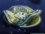 lilypad-floating-city-gallery-02.jpg