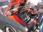 miscpics0111gn.jpg