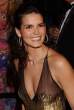 Angie Harmon 0015.jpg