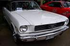 DSC08520.jpg