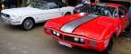 DSC08552.jpg