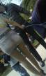 DSC00405.jpg