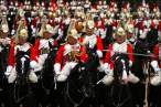British Life Guards sm.jpg