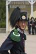 Norwegian Royal Guard 3.jpg