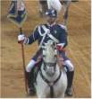 Spanish Royal guard 10.jpg