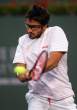 Janko-Tipsarevic002.jpg