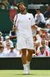 Janko-Tipsarevic041.jpg