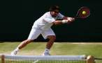 Janko-Tipsarevic117.jpg
