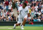 Janko-Tipsarevic124.jpg