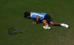 Janko-Tipsarevic163.jpg
