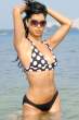 100611f1_fakih_r_b-gr_01_3.jpg