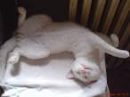 DSC00587.JPG