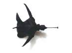 StaraSFmaketa2 21s.jpg