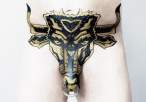 bull 18+.jpg