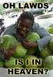 melons.jpg