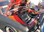35807_281343711_Yugo2.jpg