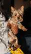 MCFan_for_celeblounge18-08-2010_07.jpg
