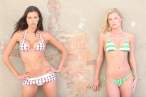 adrianne_curry_twitter_bikini_3.jpg