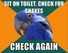 paranoid-parrot-meme-15.jpg