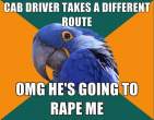 paranoid-parrot-meme-17.jpg
