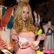 erin-heatherton-bombshell-tour-chicago-LB.jpg