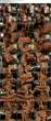 3165706_sbcveronicajohnny_2k_tab.jpg