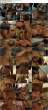 Click to enlarge 3243231_reg_bridgetteb-wmvfulllow-1_tab.jpg